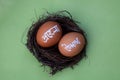 Pohela boishakh on egg. Pohela boishakh means Bengali New Year. Bengali translated character.ÃÂ 